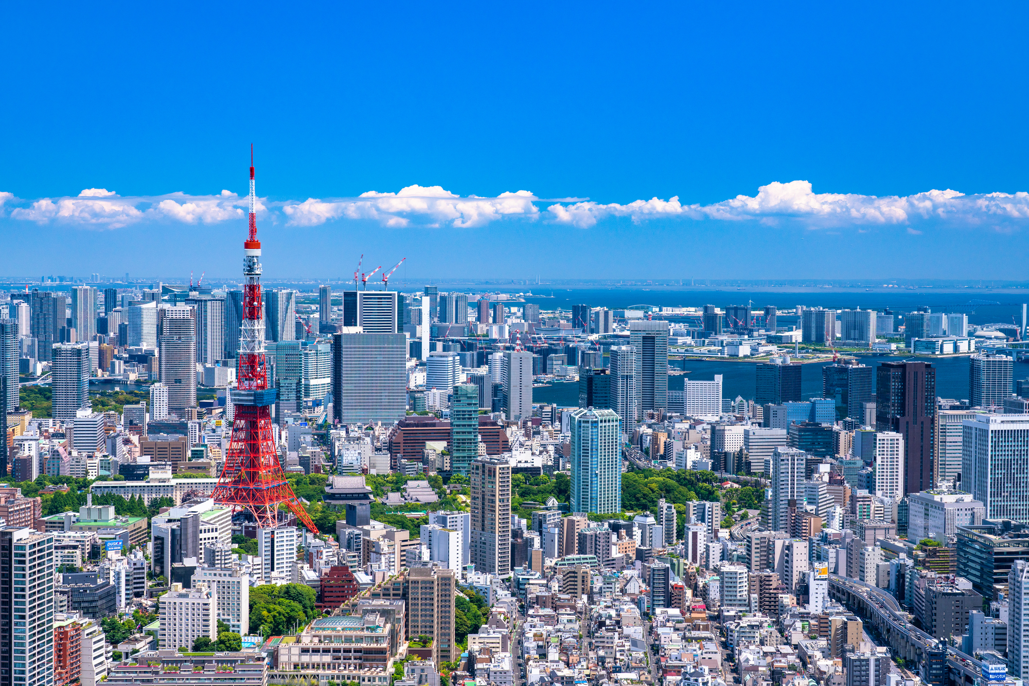 テレワーク時代の注文住宅　大都市圏から近郊の都市へ