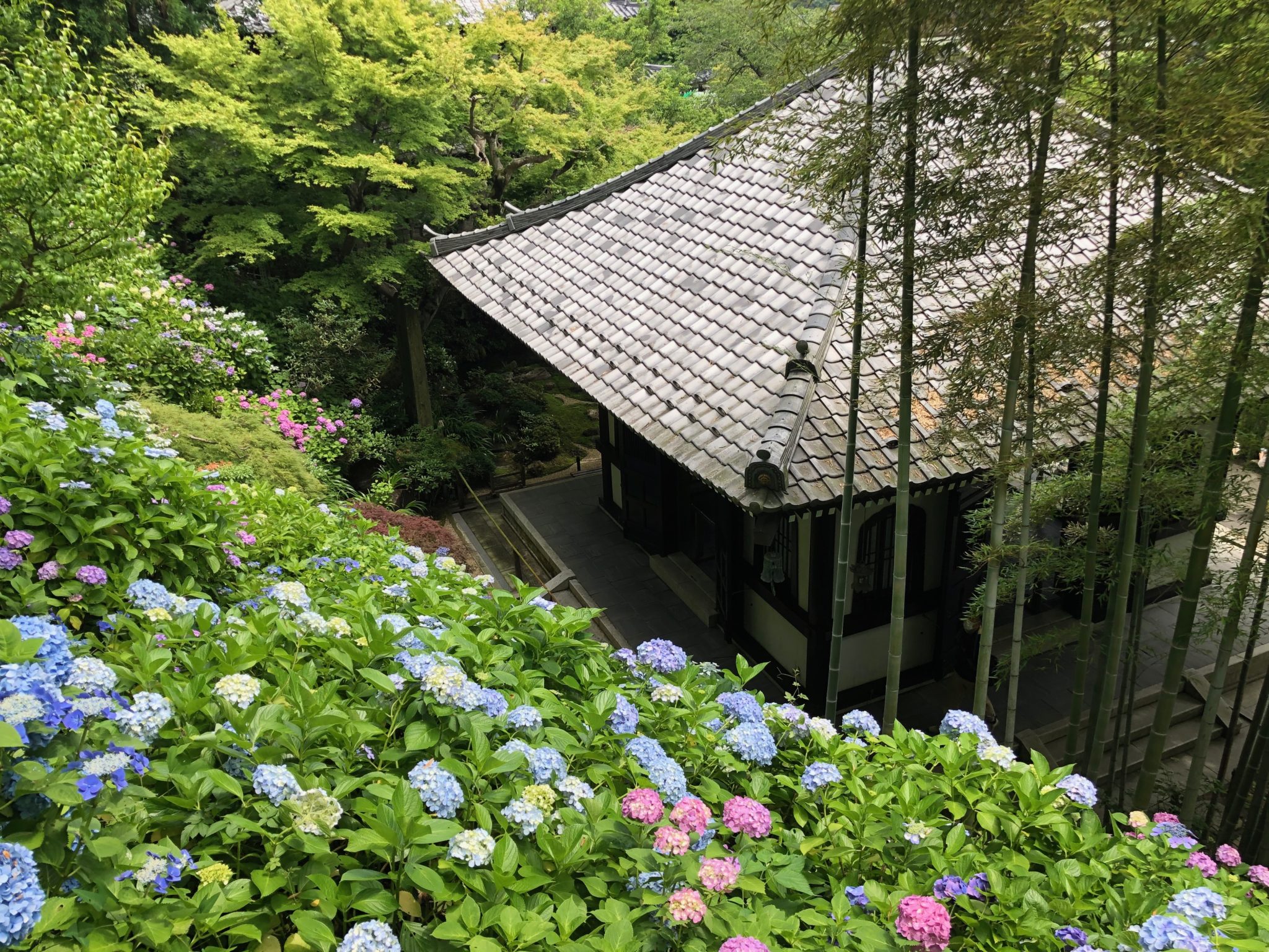 鎌倉特有の景観——古都保存法・風致地区が守る歴史的風土